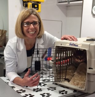 Our Mobile Vet with a Cat in Rensselaer, IN