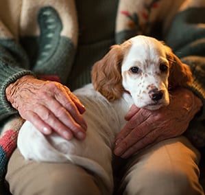 Veterinary Care For Retirement Homes in Rennselaer, IN