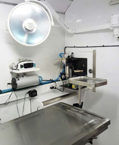 Surgical table: Mobile Pet Hospital in Rennselaer